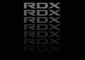 2019 – RDX (KW)