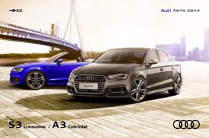 2019 – A3 Sedan & Cabrio (CN)