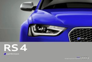 2013 – RS4 Avant (DE)