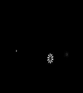 2016 – RLX (CA)