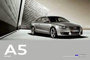 2009 – A5 Coupe (DE)
