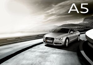 2013 – A5 Coupe (CA)
