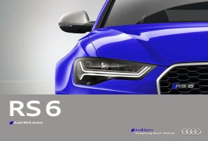 2014 – RS6 Avant (DE)