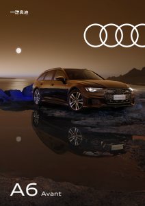 2023 – A6 Avant (CN)