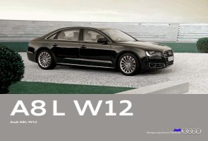 2010 – A8 L W12 (DE)