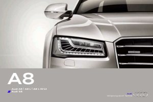 2013 – A8 (DE)