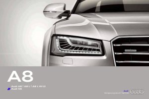2013 – A8 & S8  (INT)