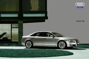 2010 – A8 (ES)