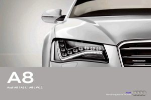2011 – A8 (INT)
