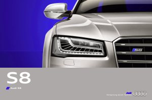 2013 – S8 (DE)
