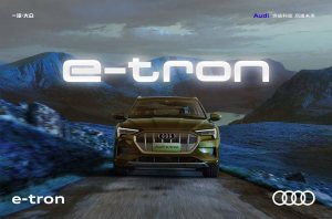 2019 – e-tron (CN)