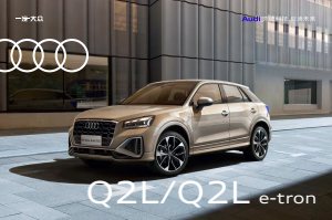 2021 – Q2 L & e-tron (CN)
