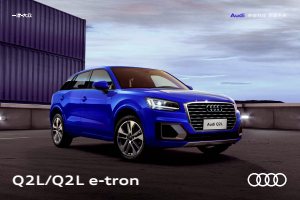 2020 – Q2 L & e-tron (CN)