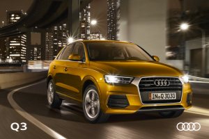 2016 – Q3 (DE)