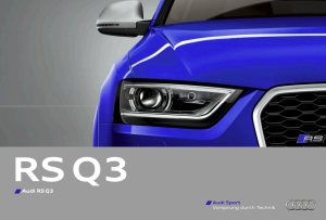 2013 – RS Q3 (DE)