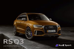 2016 – RS Q3 Performance (DE)