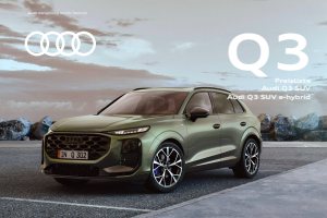 2025 – Q3 (DE)
