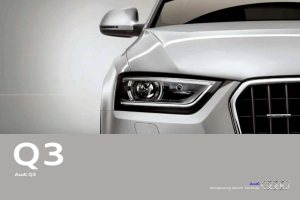 2013 – Q3 (DE)