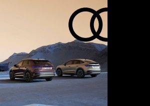 2022 – Q4 e-tron & Sportback (NL)