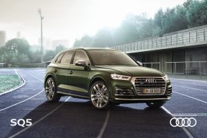 2017 – SQ5 (DE)