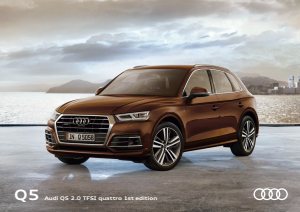 2017 – Q5 First Edition (JP)