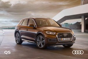 2019 – Q5 (RU)