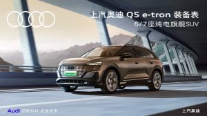 2025 – Q5 e-tron (CN)
