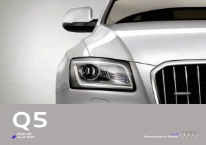2015 – Q5 & SQ5 (JP)