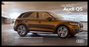 2018 – Q5 (IN)