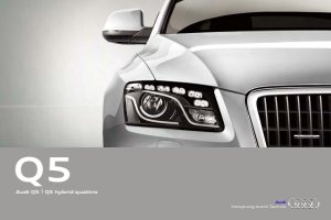 2011 – Q5 (DE)