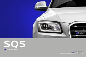 2012 – SQ5 (DE)