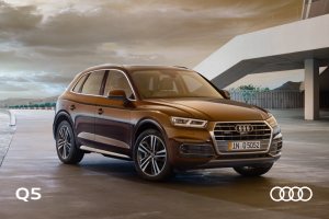 2016 – Q5 (DE)