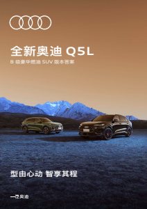 2026 – Q5 L (CN)