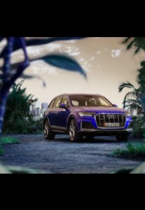 2021 – Q7 (SG)