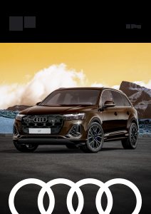 2025 – Q7 S Line (MY)