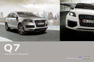 2010 – Q7 (DE)