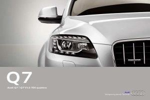 2011 – Q7 (DE)