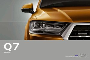 2016 – Q7 (CZ)