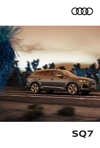 2023 – SQ7 (SG)