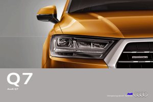 2015 – Q7 (DE)
