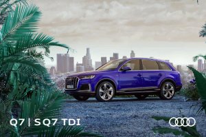 2019 – Q7 & SQ7 TDi (DE)