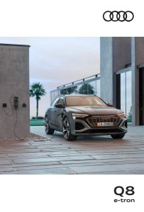 2023 – Q8 e-tron (SG)