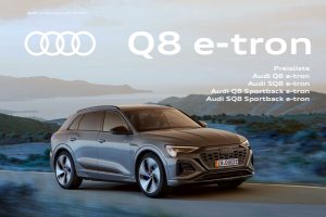 2024 – Q8 e-tron & Sportback (DE)