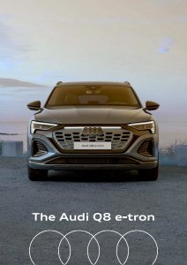 2024 – Q8 e-tron (IN)