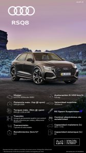 2024 – RS Q8 (CL)