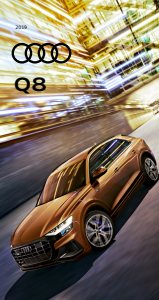 2019 – Q8 (US)