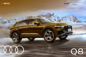 2020 – Q8 (CN)