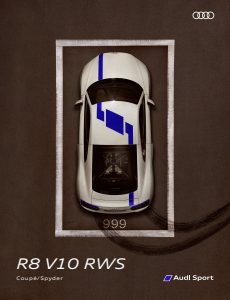 2017 – R8 V10 RWS (DE)