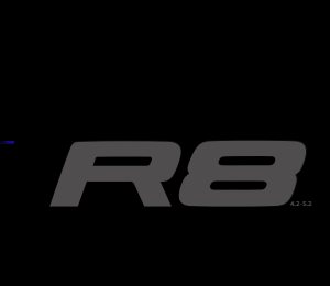 2009 – R8 (US)