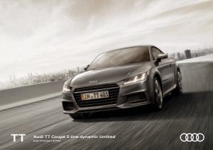 2018 – TT Dynamic Edition (JP)